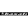 Baxati bikes